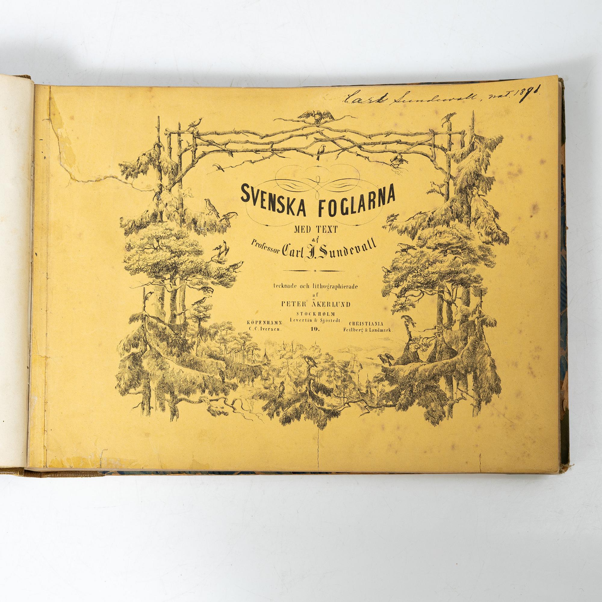 Carl J. Sundevall & Peter Åkerlund, three books, 'Svenska Foglarna'.