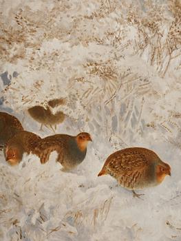 Bruno Liljefors, Grouse in snow.
