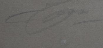 ANDERS ZORN, etsning, signerad.