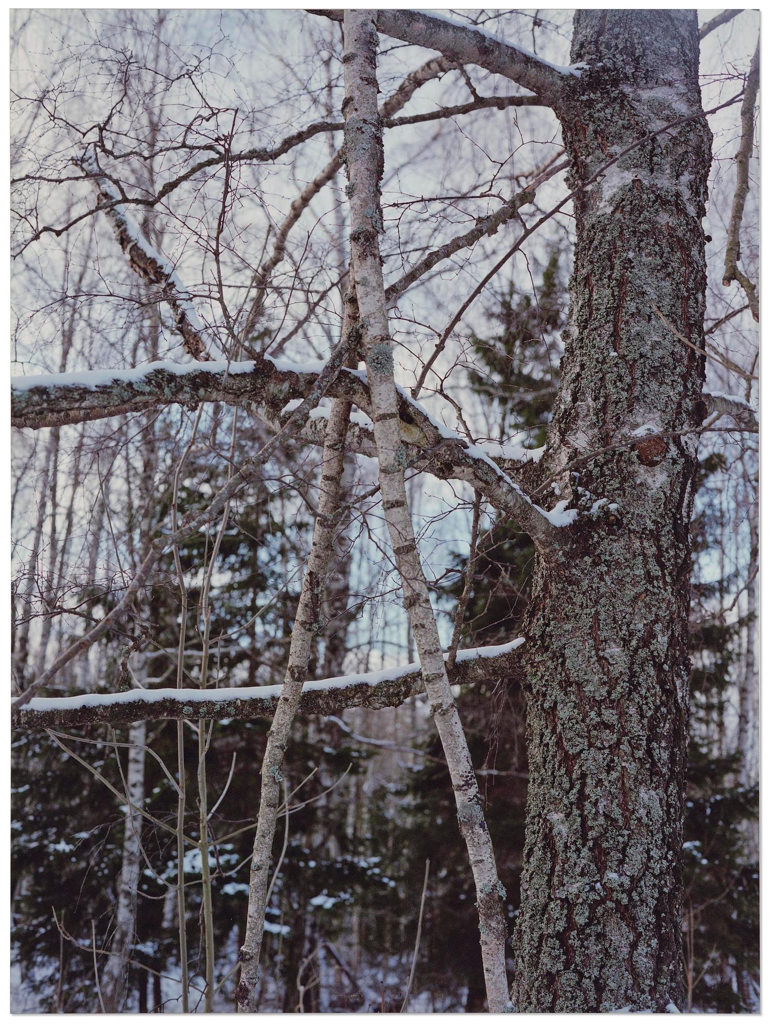 Andreas Eriksson, Untitled.