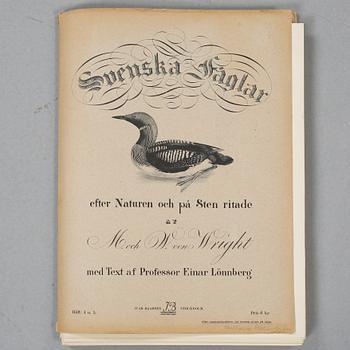 LITOGRAFIER, 54 st, Ur "Svenska Fåglar", Bror Hallberg, Magnus och Wilhelm von Wright, 1900-talets första hälft.