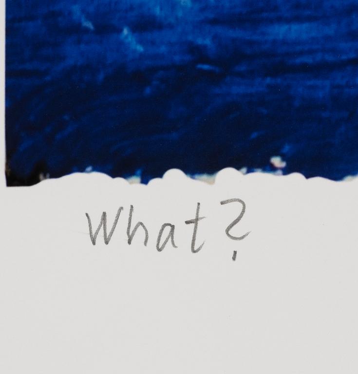Carl Johan De Geer, "What?".