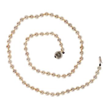 A NECKLACE WITH EARSTUDS, cultured akoya pearls 5 mm. Clasp in 14K white gold, diam 9 mm. Length 44 cm.