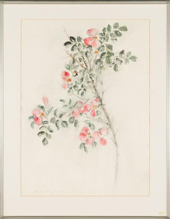 Aimo Kanerva, watercolour, signed and dated -81.