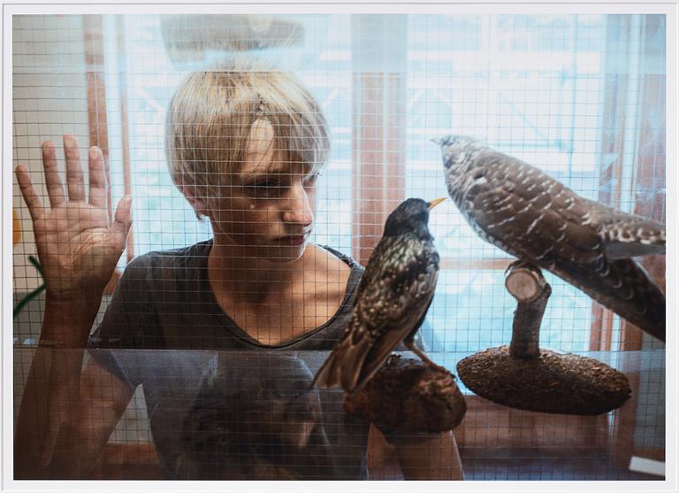 Andreas Dahl, "Tre fåglar", 2016.