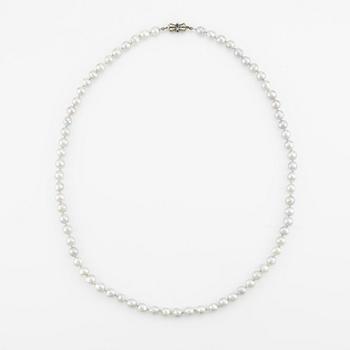 Cultured pearls necklace with silver clasp.