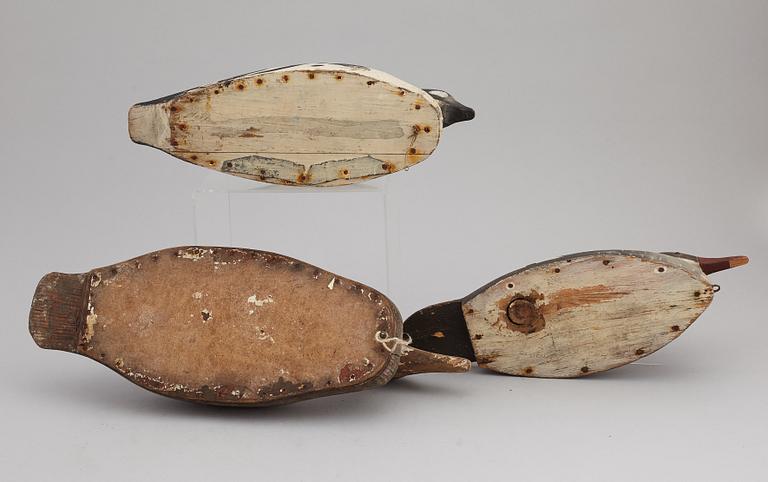 Five painted wood imitation duck, mostly first half of the 20th century.