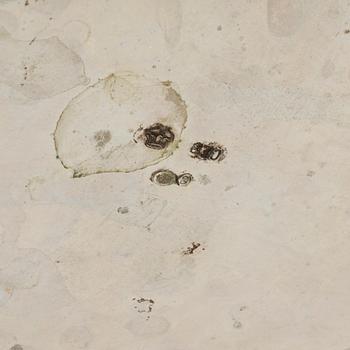 A silver rococo style teapot.