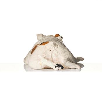 Frida Fjellman, "Malte".