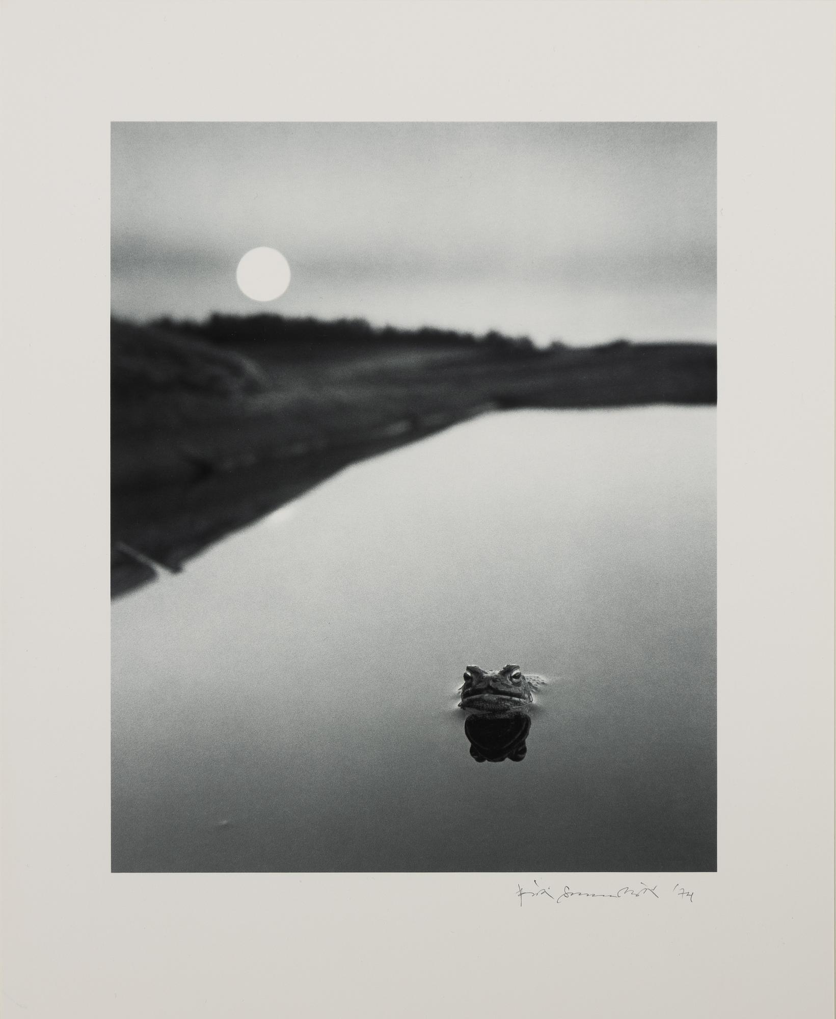 Pentti Sammallahti, Utan titel, 1974.