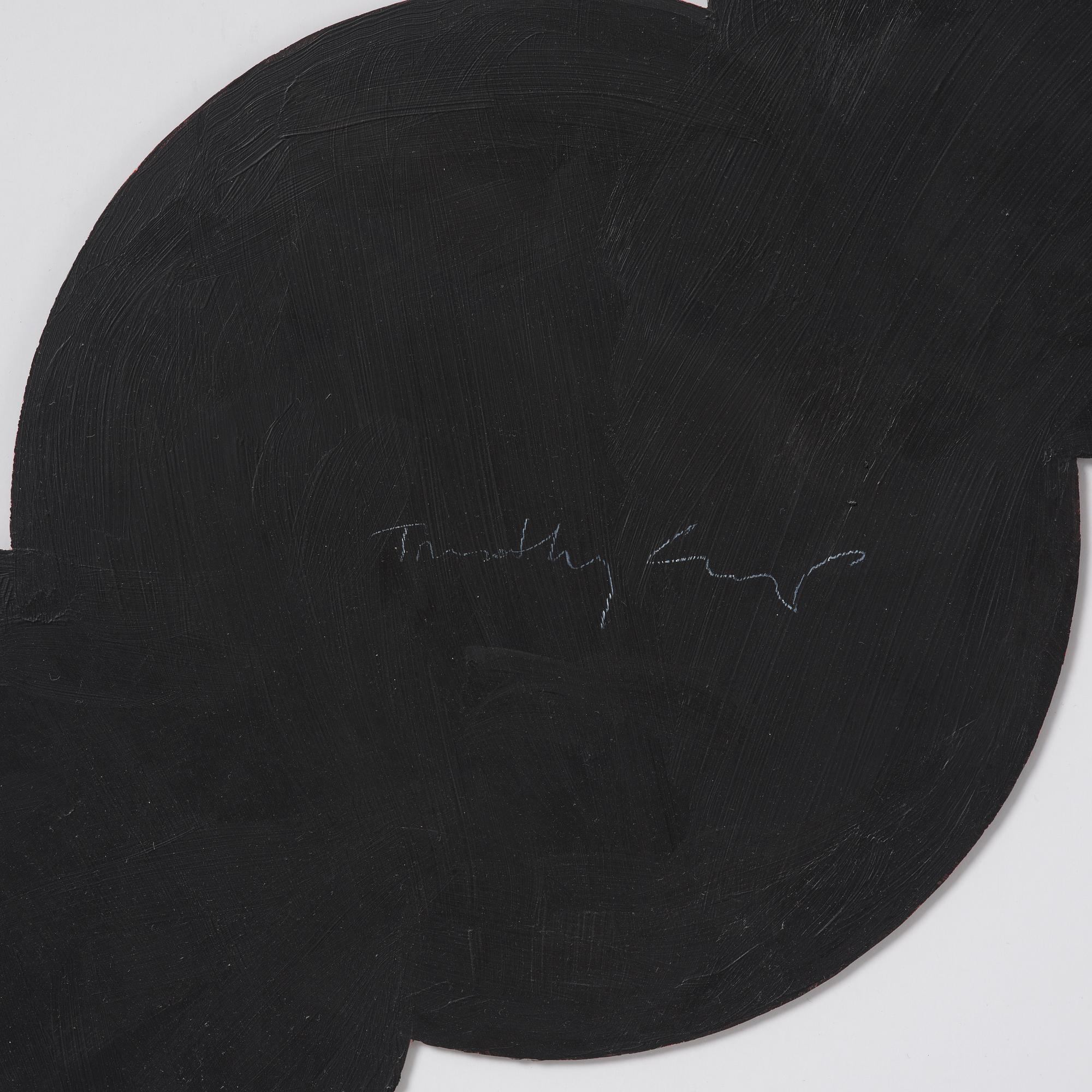 Timothy Crisp, "Lens Flare".