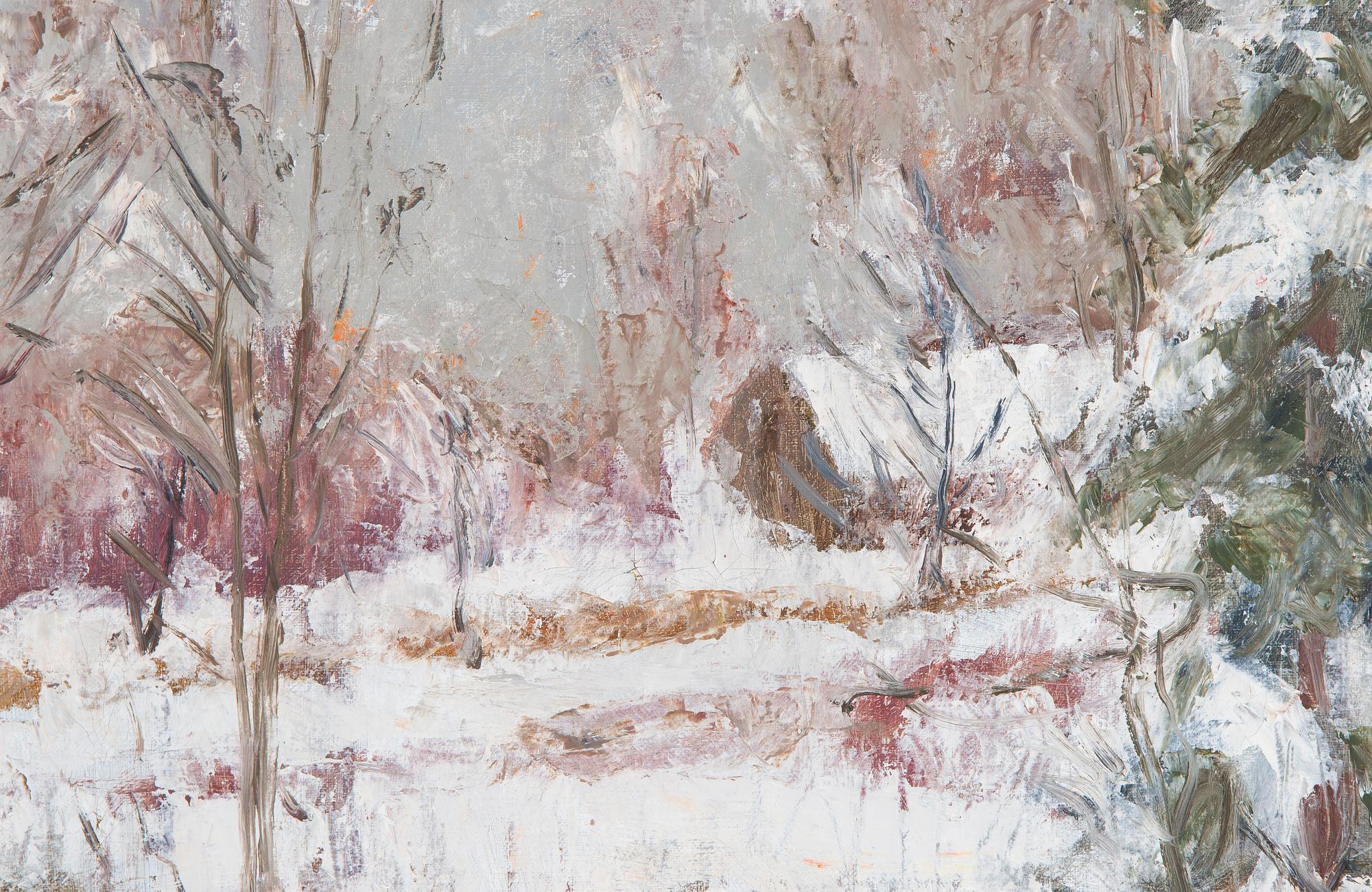 Aares Salli, Vinterlandskap.