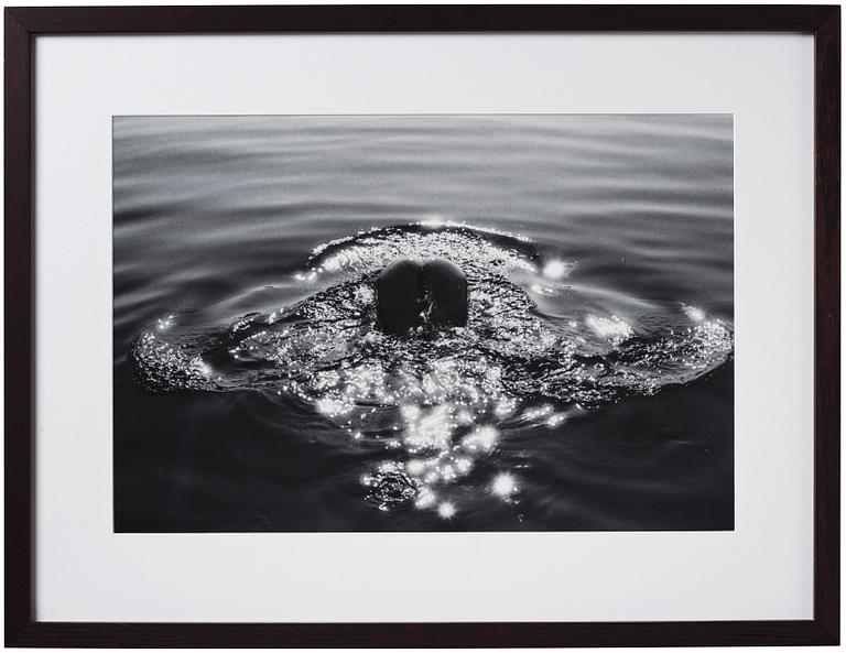 Katja Kremenic, "Bonanza on Adriatic", 2013.