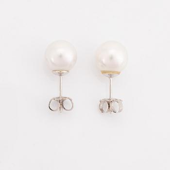 White gold and cultured  South sea pearl earrings.