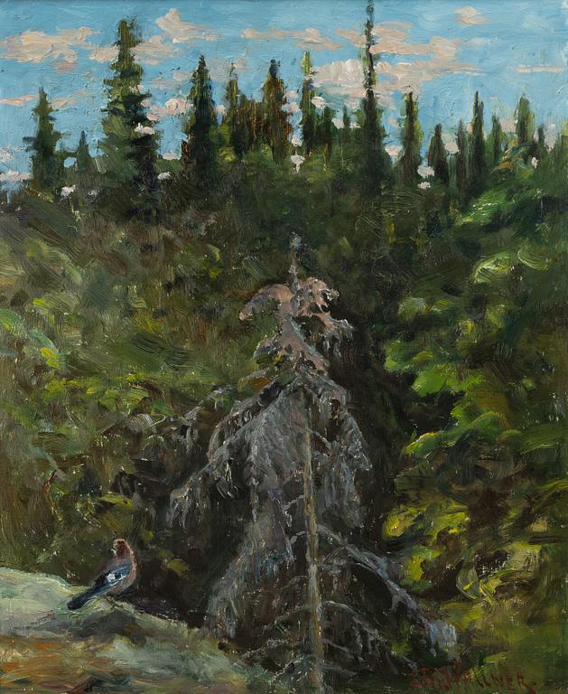 Thure Wallner, Bird at the edge of a forest.