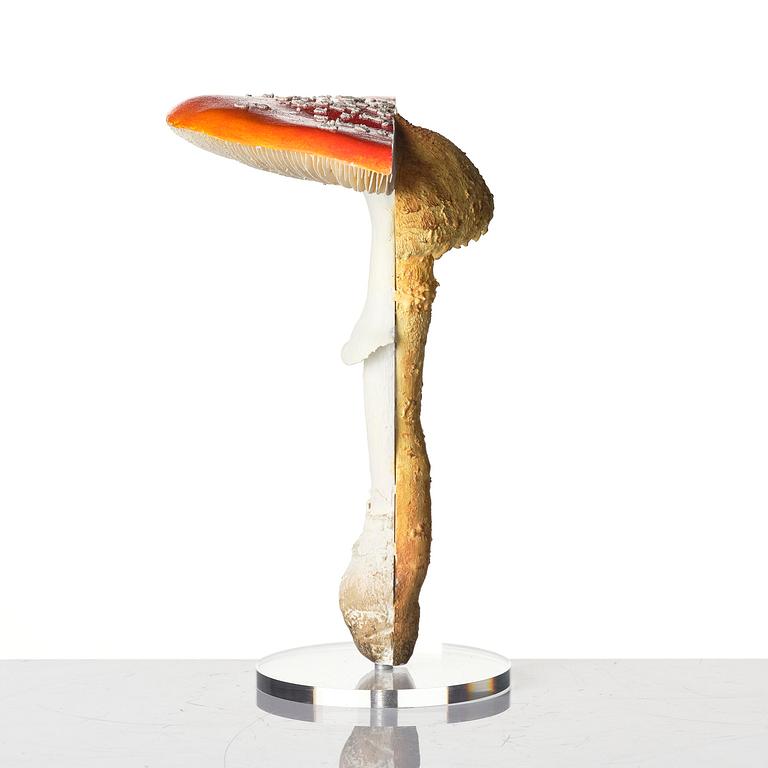 Carsten Höller, "Double Mushroom Vitrine (Once)".