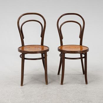 Six Thonet type chairs, Rumania, 20th Century.