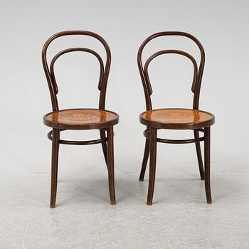 Stolar, 6 st, Thonet-typ, Rumänien, 1900-tal.