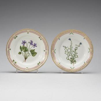 ASSIETTER, 13 stycken, porslin. "Flora Danica", Kunglig Dansk, Danmark, 1900-tal.