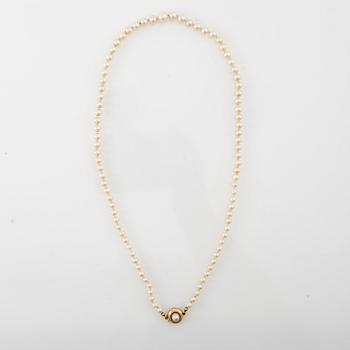 Collier, 18K guld och pärlor.