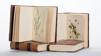 BÖCKER, 4 volymer, C.A.M Lindman. "Bilder ur Nordens Flora" Wahlström & Widstrand, 1922-1926.