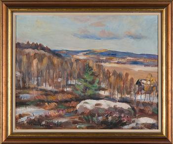 Janne Muusari, Maisema.