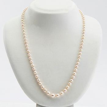 Collier, pärlor med lås i 18K vitguld.