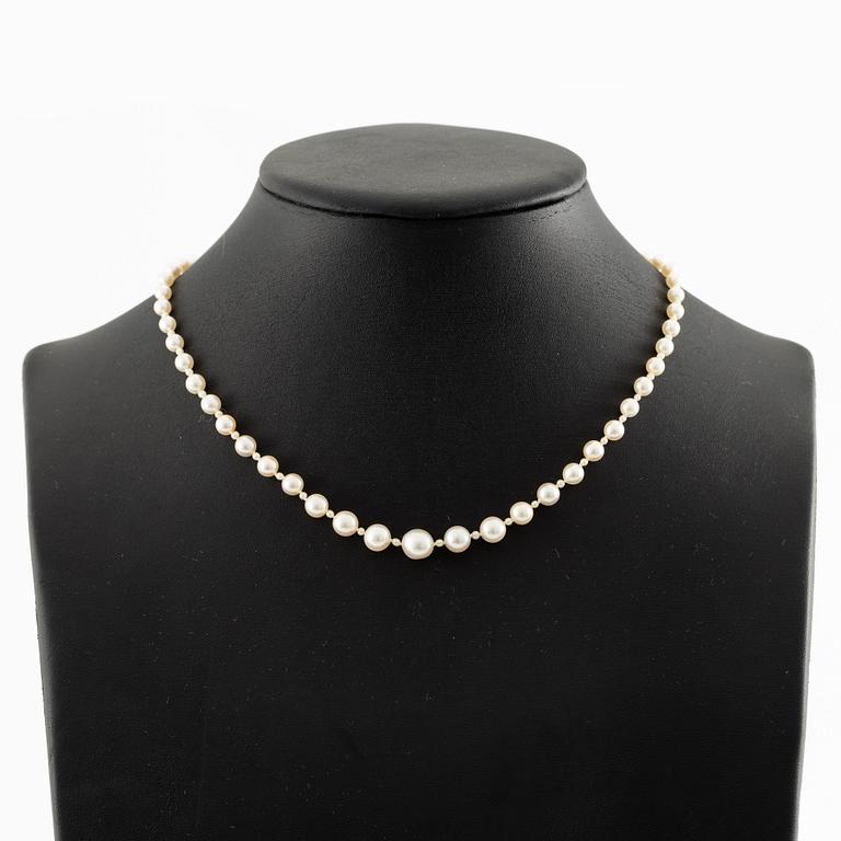 Necklace of pearls with a gold and silver clasp set with rose-cut diamonds.