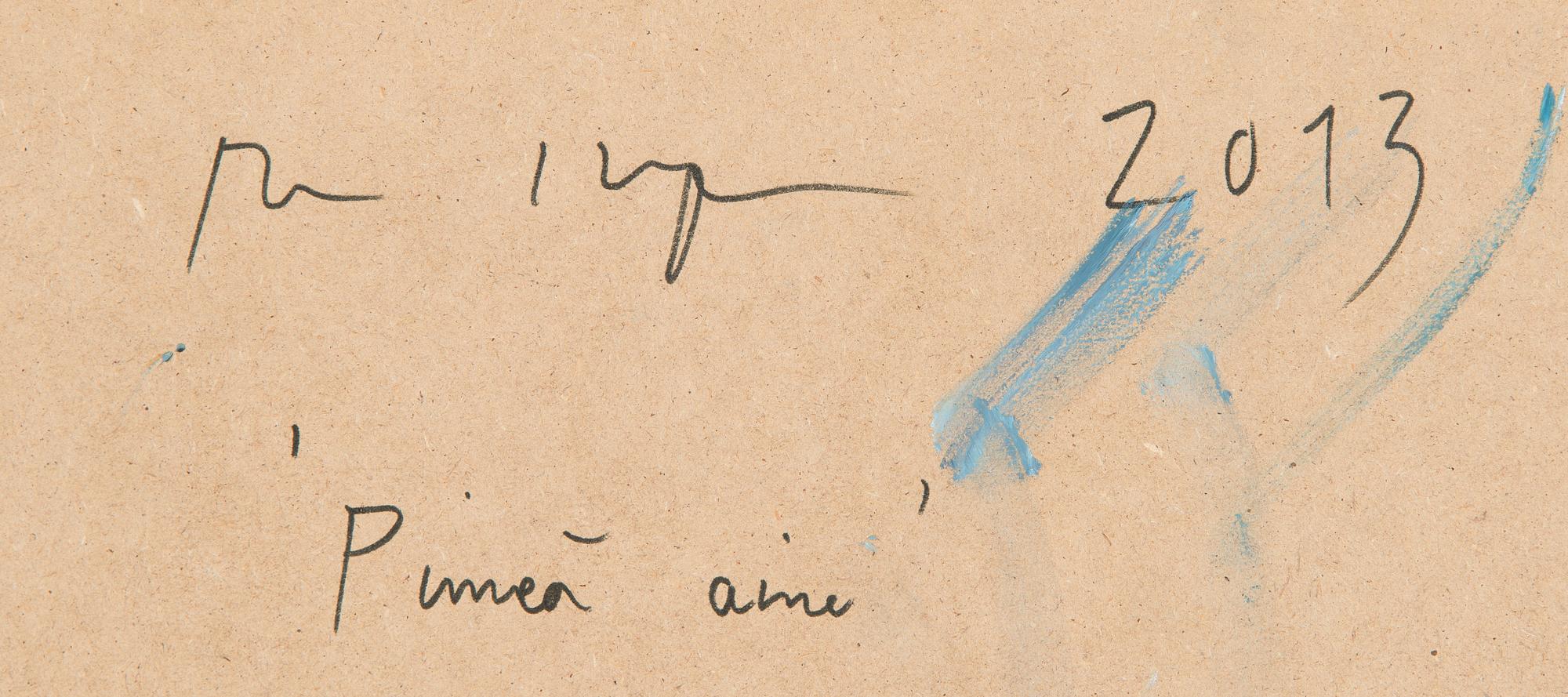 Anu Haapanen, "Pimeä aine".