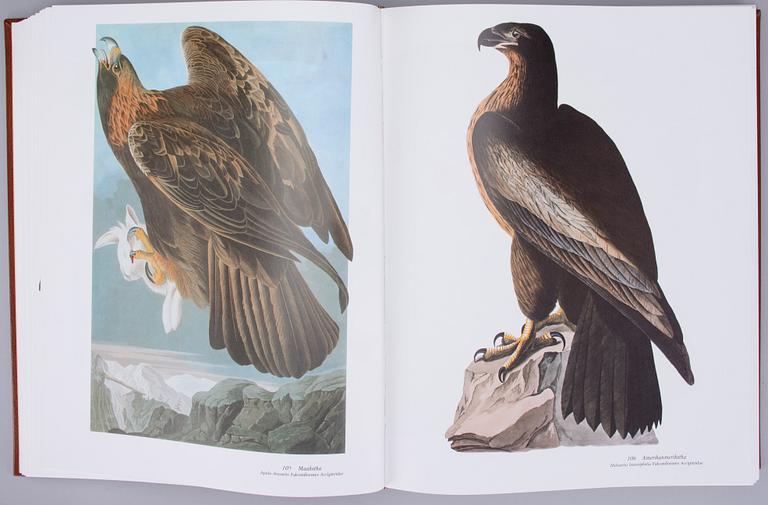 BOK, "Linnut", John James Audubon, numrerad upplaga 1050/2000, Weilin + Göös, 1990.