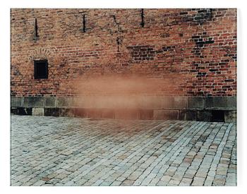 380. Anders Krisár, "Flesh Cloud #1", 2003.