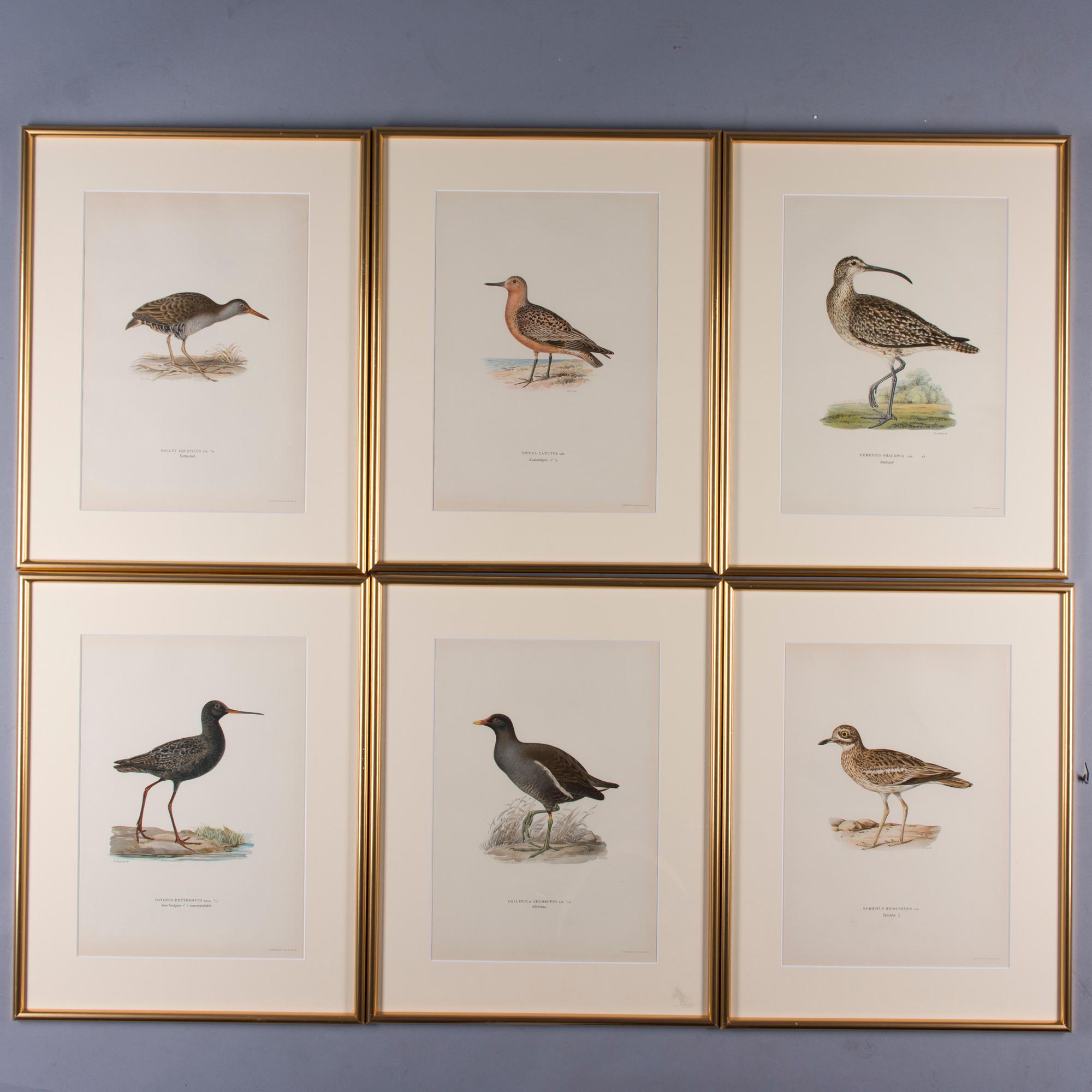 LITOGRAFIER, 6 st, efter von Wright, A. Börtzell, Stockholm.