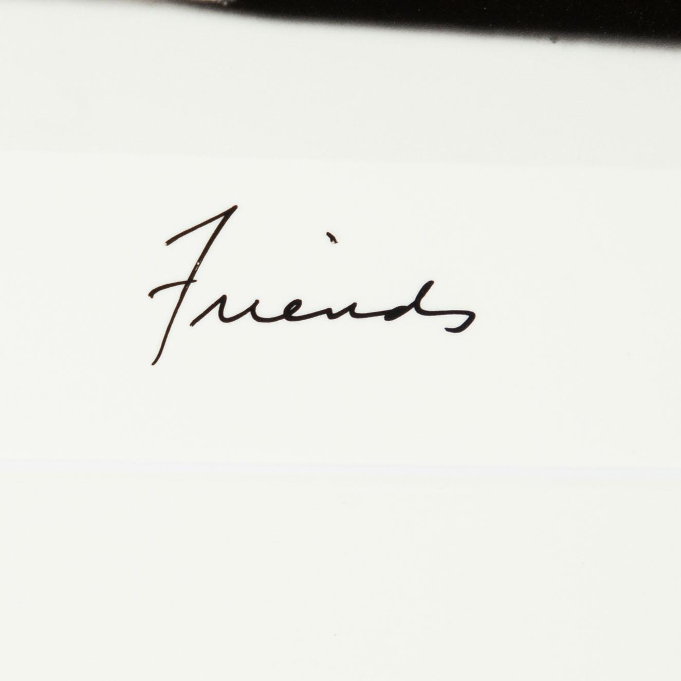 William Wegman, "Friends".