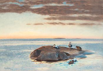 11. Bruno Liljefors, Common Eiders on a rock.