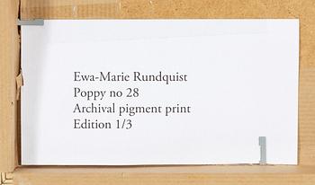 Ewa-Marie Rundquist, "Poppy No. 28", 2015.