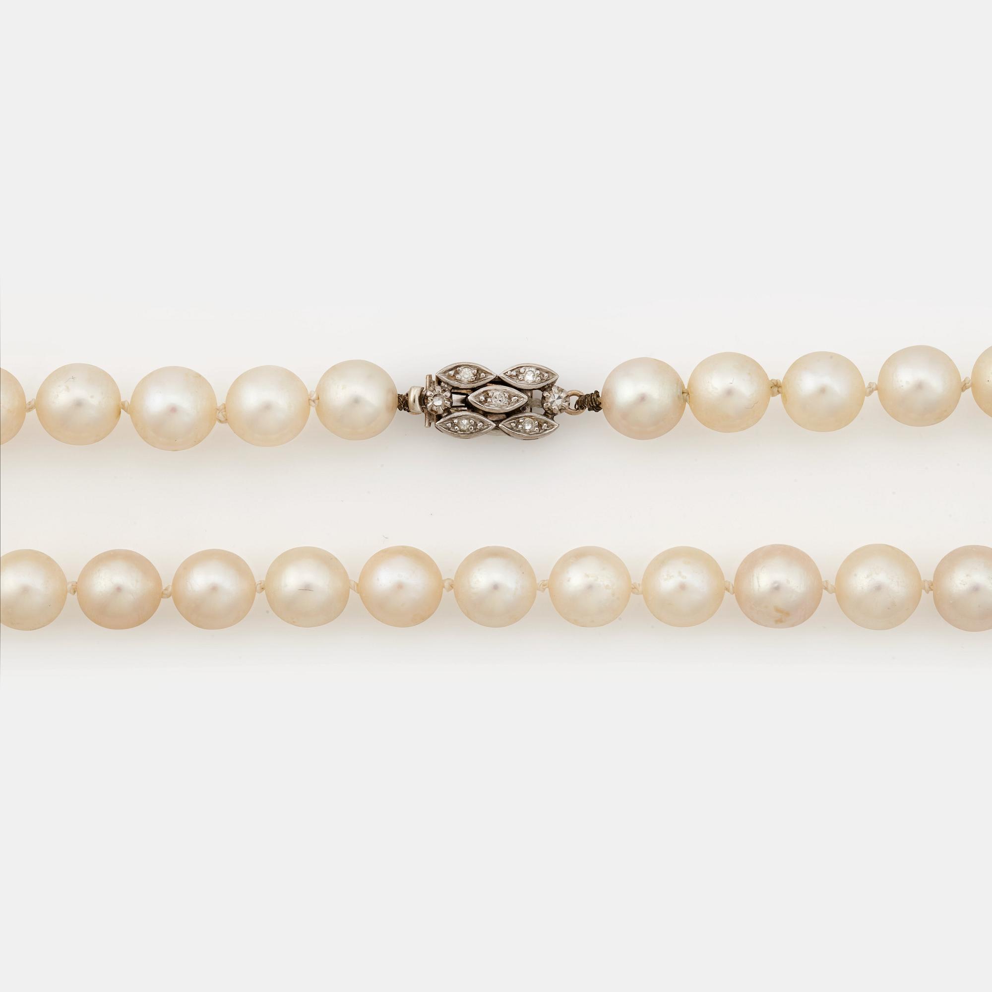 COLLIER, med odlade pärlor.