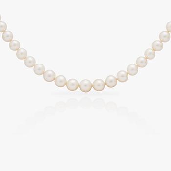 665. A cultured South Sea pearl necklace.