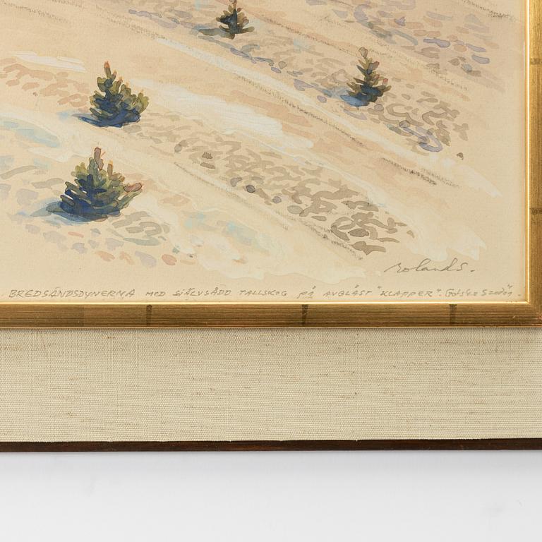 Roland Svensson, "Bredsändsdynerna med självsådd tallskog på avblåst klapper" (Gotska Sandön).