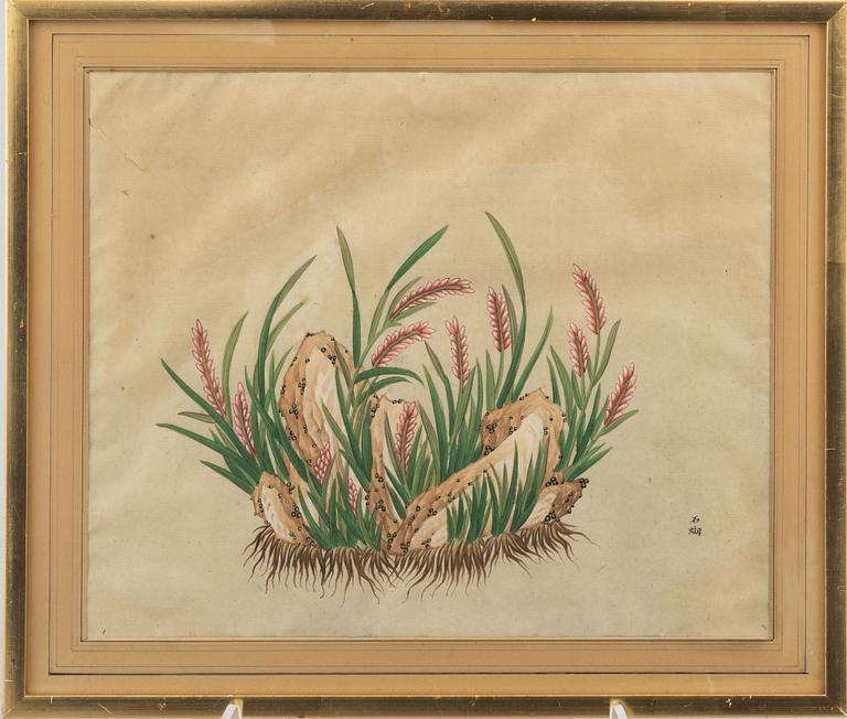 Unknown artist, watercolour, China, 20th century.