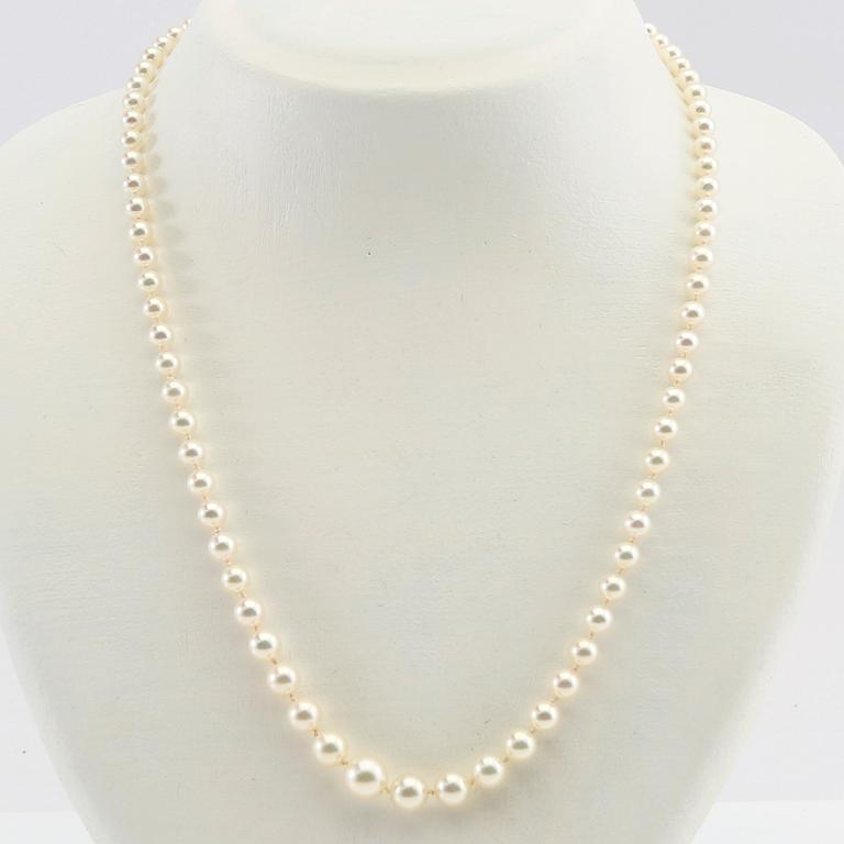 Necklace and bracelet of cultured pearls.