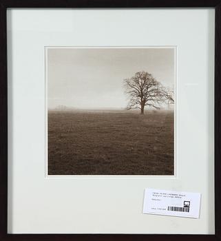 PATRIK LUNDMARK, silvergelatinfotografi, sign a tergo, 2000-tal.