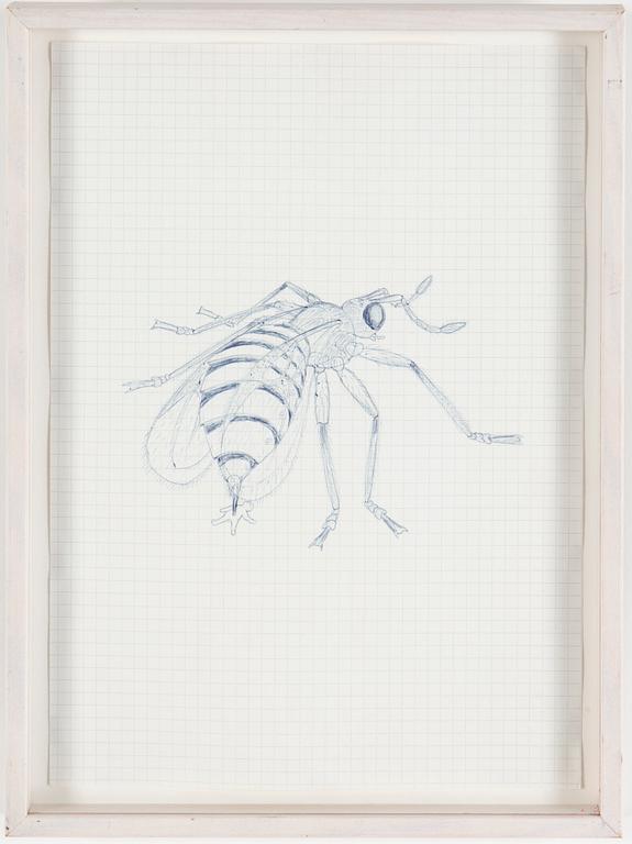 CARSTEN HÖLLER, Utförd 1992. Bläckpenna på papper,