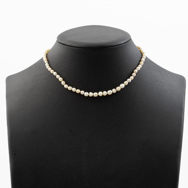 Necklace with pearls. Accompanied by a report from GCS.