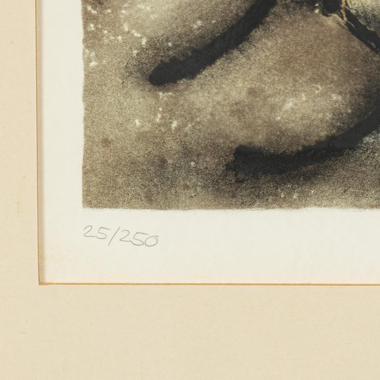 Salvador Dalí, lithograph in colours, 1972, signed in pencil and numbered 25/250.