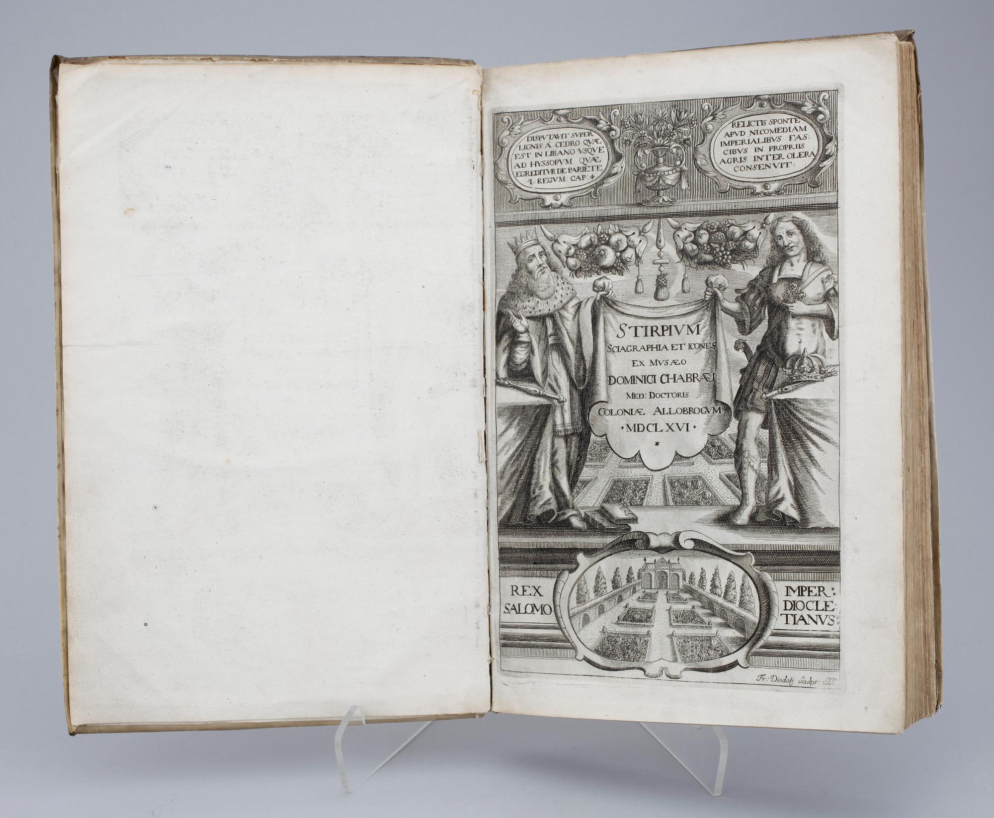 BOK, "Stirpium Icones et Sciagraphia", Dominique Chabrey, Geneve 1666.