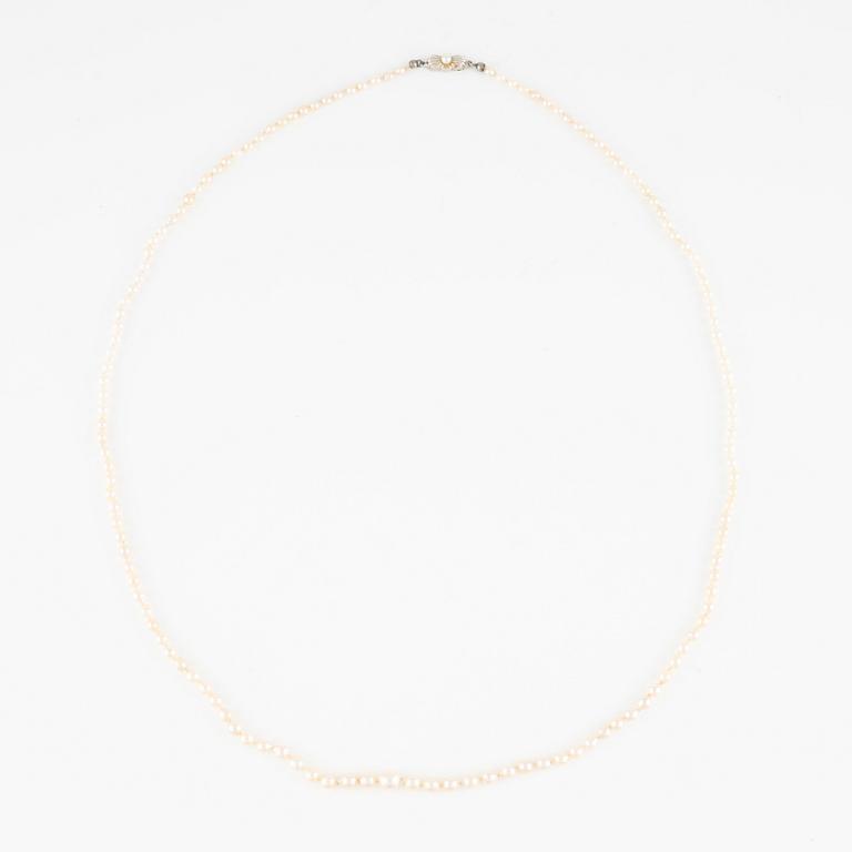 Collier, med pärlor, lås 18K guld.