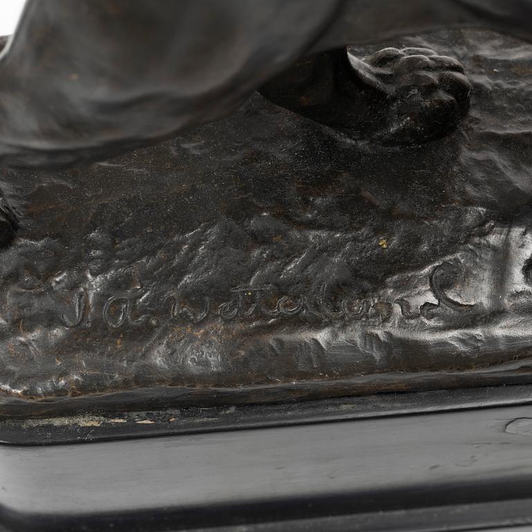 Johan Axel Wetterlund, Tiger.