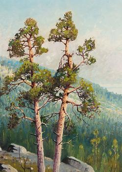 Ejnar Kohlmann, Insjölandskap.