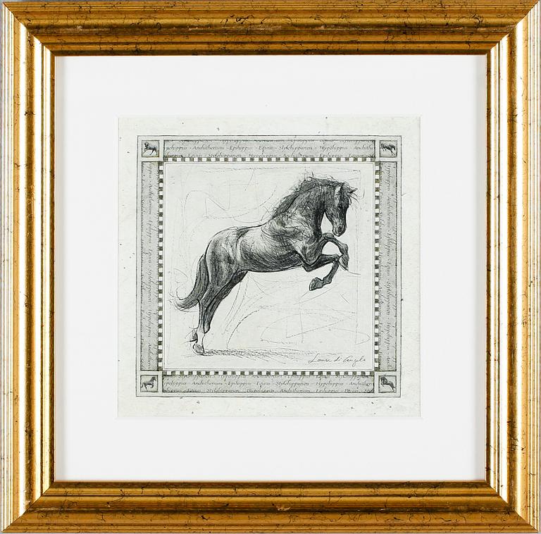 TAVLOR, 13 st, tryck, 1900-talets andra hälft.