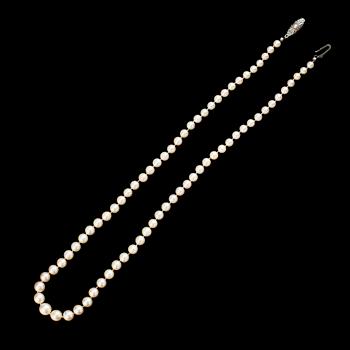 PÄRLCOLLIER, odlade sötvattenpärlor.